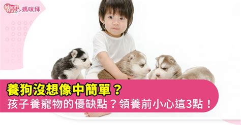 適合家裡養的寵物|養狗必看｜13種適合室內養的小型犬推薦！壽命、性格 